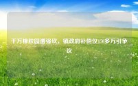 千万橡胶园遭强砍,镇政府补偿仅170多万引争议