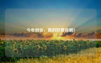 今年创业,真的好费命啊!