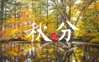 木叶落，秋分至，正是一年最美时