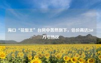 海口“花梨王”台风中轰然倒下，估价高达260万引热议