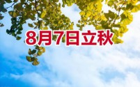 立秋习俗丰富多彩:从啃秋到贴秋膘