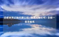 合肥财务记账代理公司+财务代账公司+全程一条龙服务