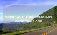 合肥通报“三只羊”直播带货违规案:拟没收违法所得并罚款6894.91万元