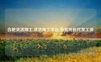 合肥灵活用工,灵活用工平台,劳务外包代发工资