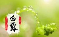 二十四节气——白露