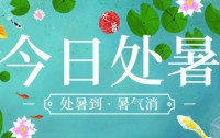 今日处暑,秋风送爽迎丰年