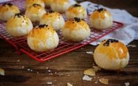 蛋黄酥全国诚招各地批发代理商一件代发货包邮