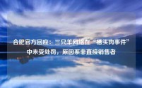 合肥官方回应:三只羊网络在“槽头肉事件”中未受处罚,原因系非直接销售者