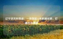 辽宁洪灾村奇迹:一夜架起51米机械化桥,打通生命通道