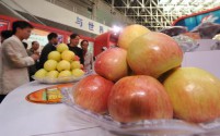 第四届中国新疆特色林果产品博览会