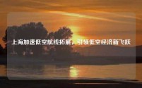 上海加速低空航线拓展,引领低空经济新飞跃