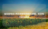 福岛核电站25吨含放射性物质水泄漏,东京电力紧急应对