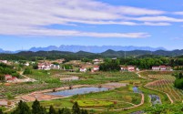 乡村路畅人渐稀:老家变迁的喜与忧