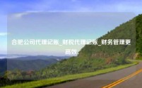 合肥公司代理记账_财税代理记账_财务管理更高效