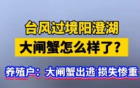 台风肆虐阳澄湖,大闸蟹养殖业遭受重创