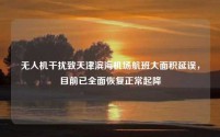 无人机干扰致天津滨海机场航班大面积延误，目前已全面恢复正常起降