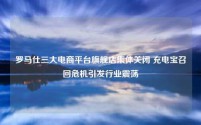罗马仕三大电商平台旗舰店集体关闭 充电宝召回危机引发行业震荡