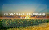广东“鹤岗”现象初现:低房价背后的城市转型与挑战