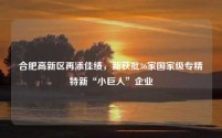 合肥高新区再添佳绩，新获批36家国家级专精特新“小巨人”企业