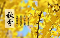 秋分：人到中年，一半，一半