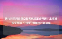 国内首条跨省低空载客航线正式开通:上海浦东至昆山“飞的”引领出行新风尚
