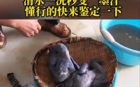 网购乌鸡疑染色?消费者清洗惊现一盆黑水,88元四只引关注