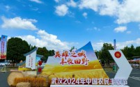 武汉市举办“丰收武汉 悦动乡村”活动,共庆第七个中国农民丰收节