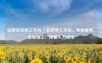 安徽灵活用工平台 | 合肥灵工平台,专业服务,合规用工,降低人力成本