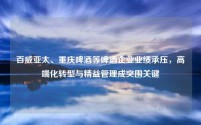 百威亚太、重庆啤酒等啤酒企业业绩承压,高端化转型与精益管理成突围关键