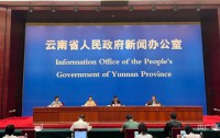 2024全球华商聚云南:共谋发展新篇章,助推云南高质量跨越
