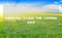 合肥楼市再现“千人抢房”热潮,止跌回暖迹象显现