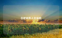 合肥销售人交流群