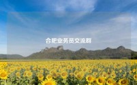 合肥业务员交流群