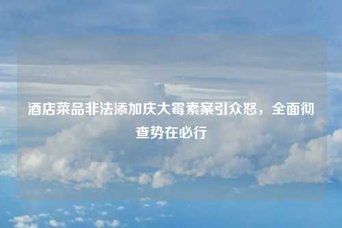 酒店菜品非法添加庆大霉素案引众怒，全面彻查势在必行
