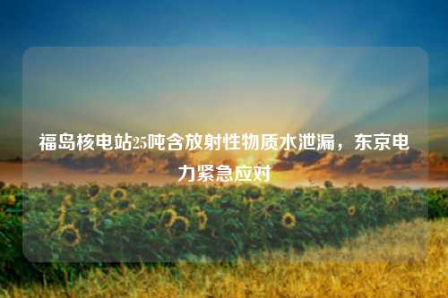 福岛核电站25吨含放射性物质水泄漏，东京电力紧急应对