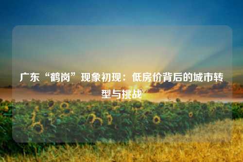 广东“鹤岗”现象初现：低房价背后的城市转型与挑战