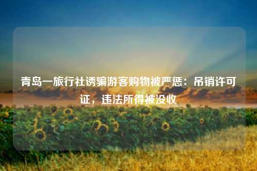 青岛一旅行社诱骗游客购物被严惩：吊销许可证，违法所得被没收