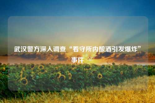 武汉警方深入调查“看守所内酿酒引发爆炸”事件