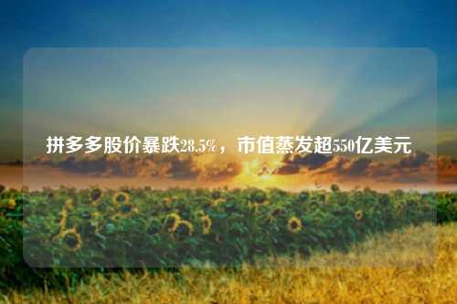 拼多多股价暴跌28.5%，市值蒸发超550亿美元