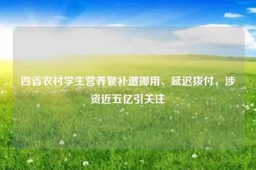 四省农村学生营养餐补遭挪用、延迟拨付，涉资近五亿引关注