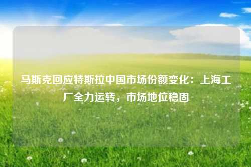 马斯克回应特斯拉中国市场份额变化：上海工厂全力运转，市场地位稳固