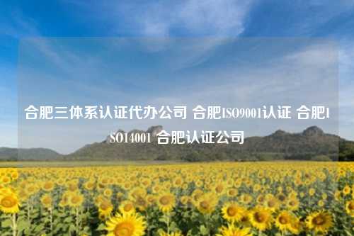 合肥三体系认证代办公司 合肥ISO9001认证 合肥ISO14001 合肥认证公司