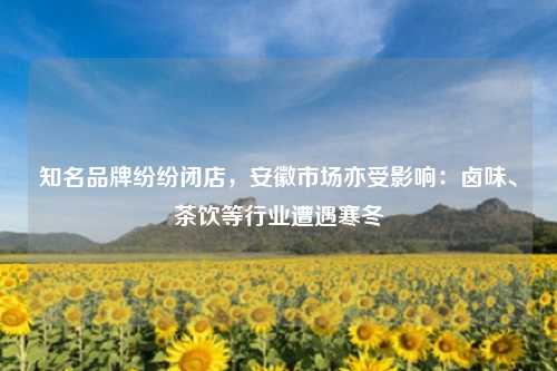 知名品牌纷纷闭店，安徽市场亦受影响：卤味、茶饮等行业遭遇寒冬