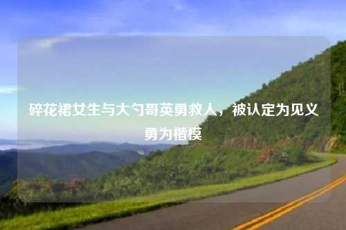 碎花裙女生与大勺哥英勇救人，被认定为见义勇为楷模