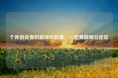 个体创业者的新项目起盘，一定要做细分定位