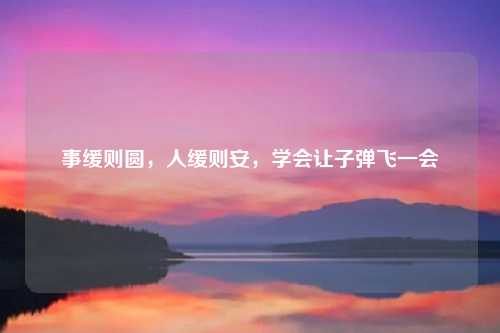 事缓则圆，人缓则安，学会让子弹飞一会