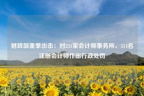 财政部重拳出击：对231家会计师事务所、514名注册会计师作出行政处罚