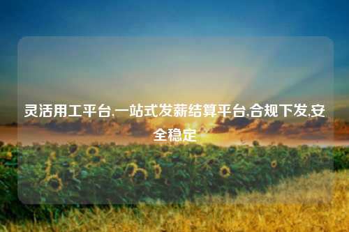 灵活用工平台,一站式发薪结算平台,合规下发,安全稳定