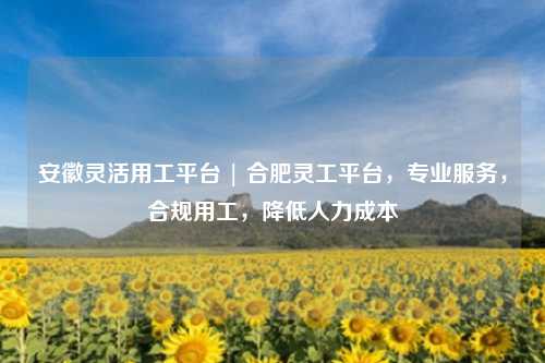 安徽灵活用工平台 | 合肥灵工平台，专业服务，合规用工，降低人力成本