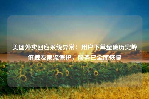 美团外卖回应系统异常：用户下单量破历史峰值触发限流保护，服务已全面恢复